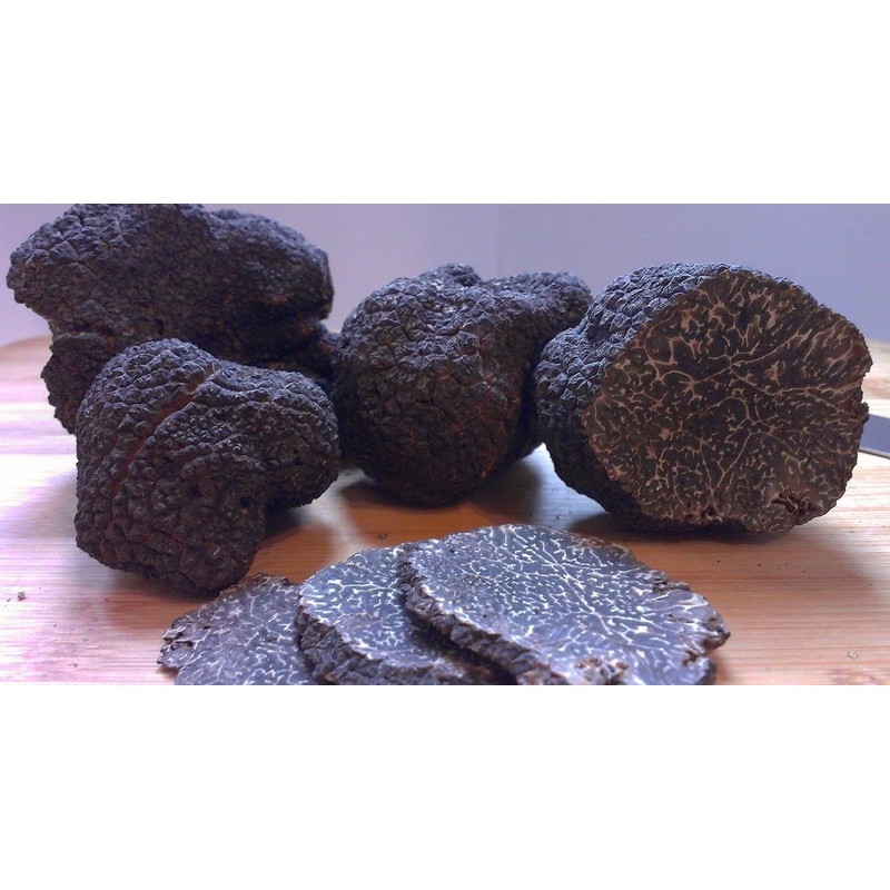 NIKA SEEDS - Spores Truffle Black Mushrooms for Planting on