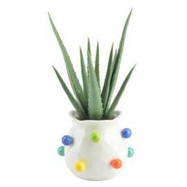 TOPSV Artificial Aloe Plants in Ceramic Pots - 12.5'' - Stylish Home/Office Desktop Decoration - Large Faux Succulents