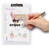 Ear Insert clipboard