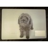 Poodle Food and Water Placemat for Your Dog with 3d