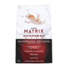 Syntrax Nutrition Matrix - Sustained-Release Protein Blend, Snickerdoodle 2 lbs.