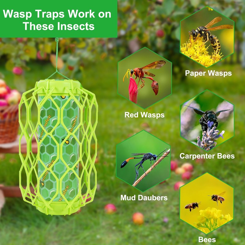 Sancodee 2 Pack Upgraded Wasp Trap Outdoor Hanging, Carpenter Bee