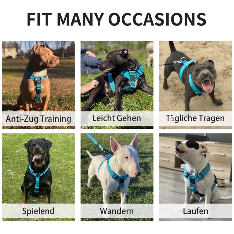 Robust Nylon Braided Anti-Pull Dog Harness, Adjustable Chest Harness with