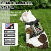 WINSEE Service Dog in Training Harness with 5 PCS Patches,