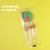 Mini Swirl Lollipops, Rainbow Suckers, Individually Wrapped Candy, Party Favors,