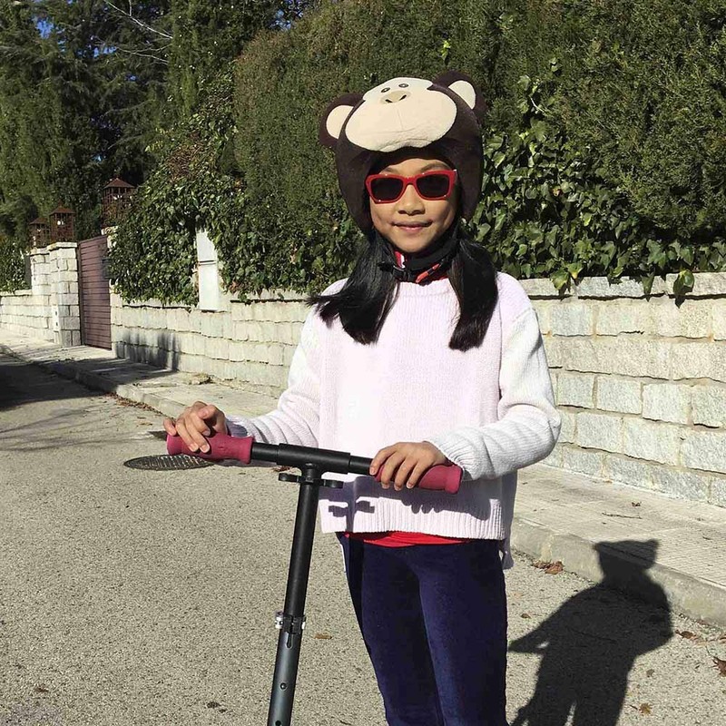 Coolcasc Monkey Animals