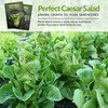 5 Packs Parris Island Cos Lettuce Seed for Planting -