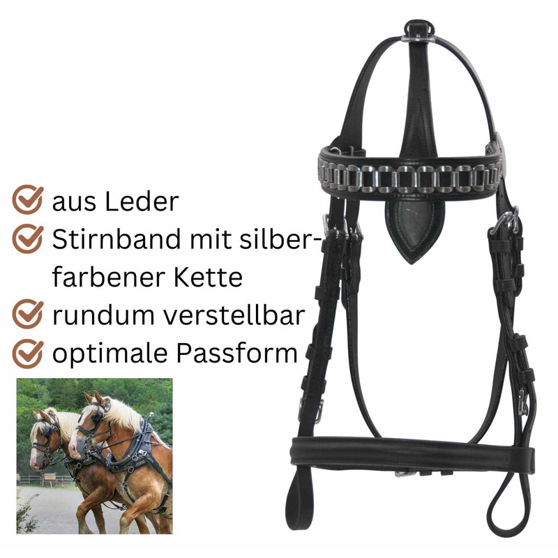 AMKA Leather Travel Bridle without Blinders