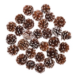 ENLACE Pack of 30 Pine Cones, Approx. 3-4 cm, Mini Christmas Pine Cones with White Paint, Natural Pine Cones Decoration for Christmas Decoration, DIY Crafts, Christmas Tree, Autumn Winter Decoration