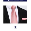 Hisdern TL-01S Men's Plain Necktie, Pocket Square Gift, Silky Sheen,