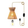 YLWYGY Hanging Lamps That Plug Into Wall Outlet Woven Rattan
