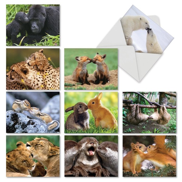 The Best Card Company - 10 Blank Note Cards for All Occasions (4 x 5.12 Inch) - Boxed Animal Cards for Kids - Animal Smackers M6594OCB