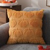DFXSZ Fall Pillow Covers 18x18 Set of 2 Fall Decorations