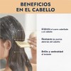 HEBBE Manteca de Karité 1 Kg | Hidratante y Emoliente