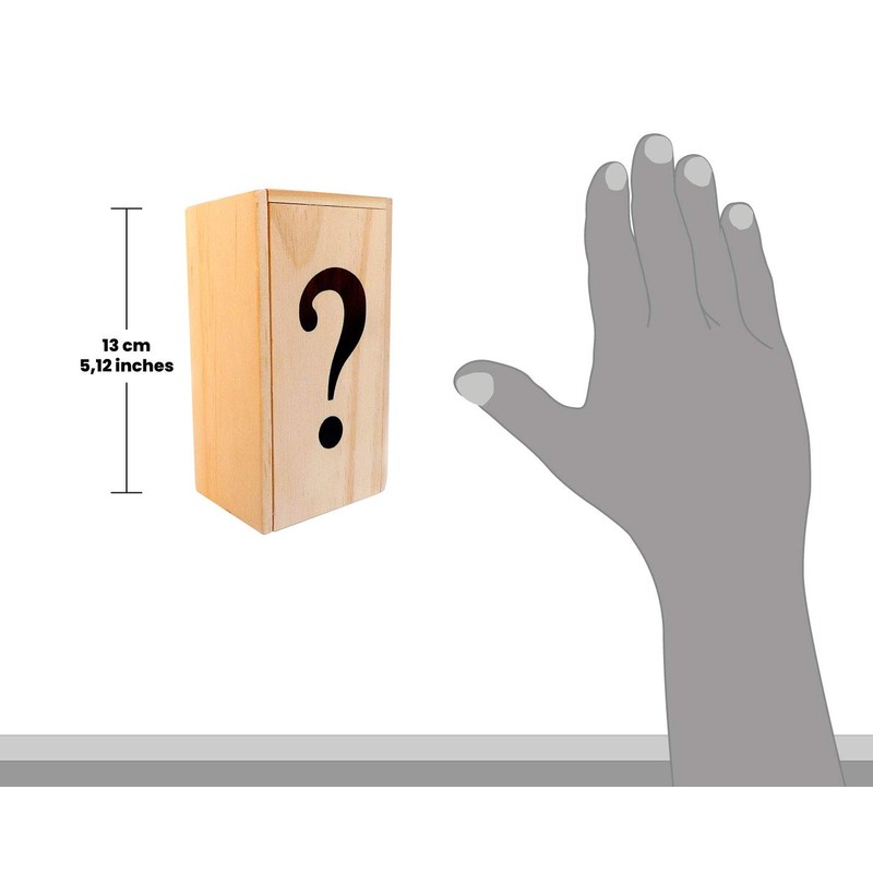 Logica Puzzles Art. The Chest ? - Wooden Brain Teaser