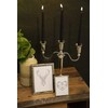 Silver Plated Candlestick Venezia – 3 Bulbs