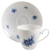 Rosenthal Rhapsody Cup & Saucer