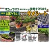 Daiichi Vinyl, Here No Sheet 4 Piece
