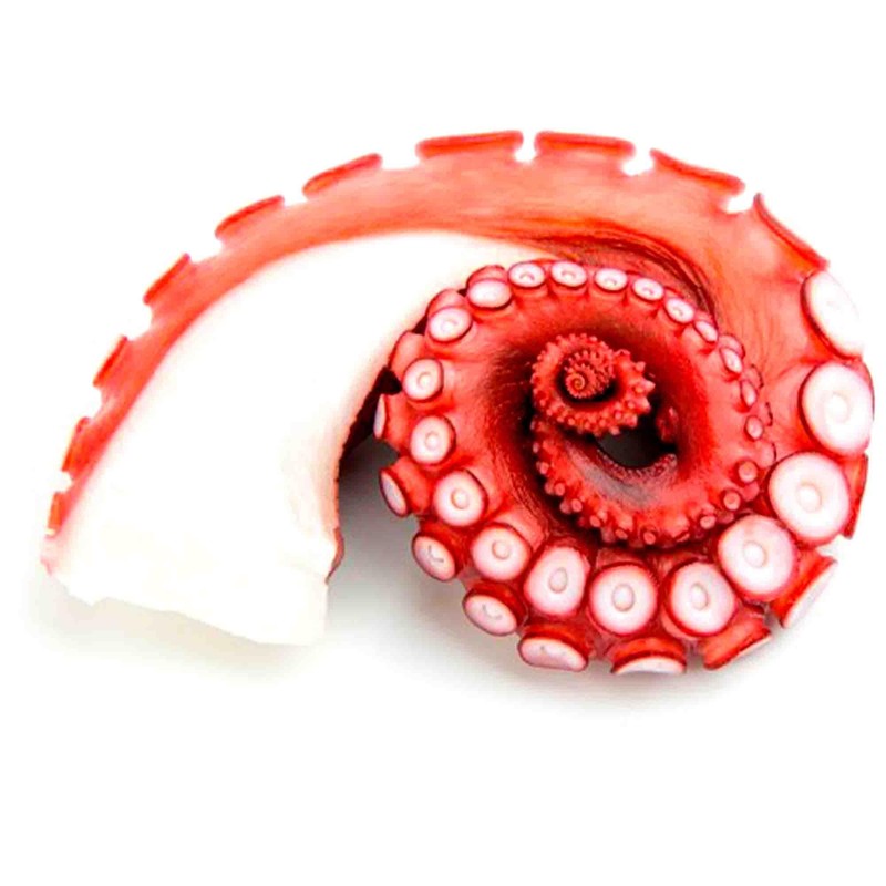 3x 110g Spanish Seafood Tinned Octopus Squid in Olive Oil