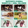 Activated Charcoal for Dogs & Cats – 120g Powder for