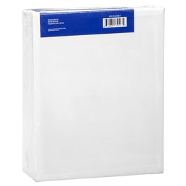 Artlicious Canvas Panels 24 Pack - 8 inch x 10 inch Super Value Pack - Artist Canvas Boards for Painting