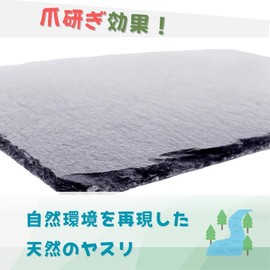 JP Number Turtle Drying Board, Food Plate, Turtle, Nail Sharpening Pad, Heat Retention, Moisturizing, Lava, Rocks, Rearing Case, Interior, Flooring Material 11.8 x 7.9 inches (30 x 20 cm)