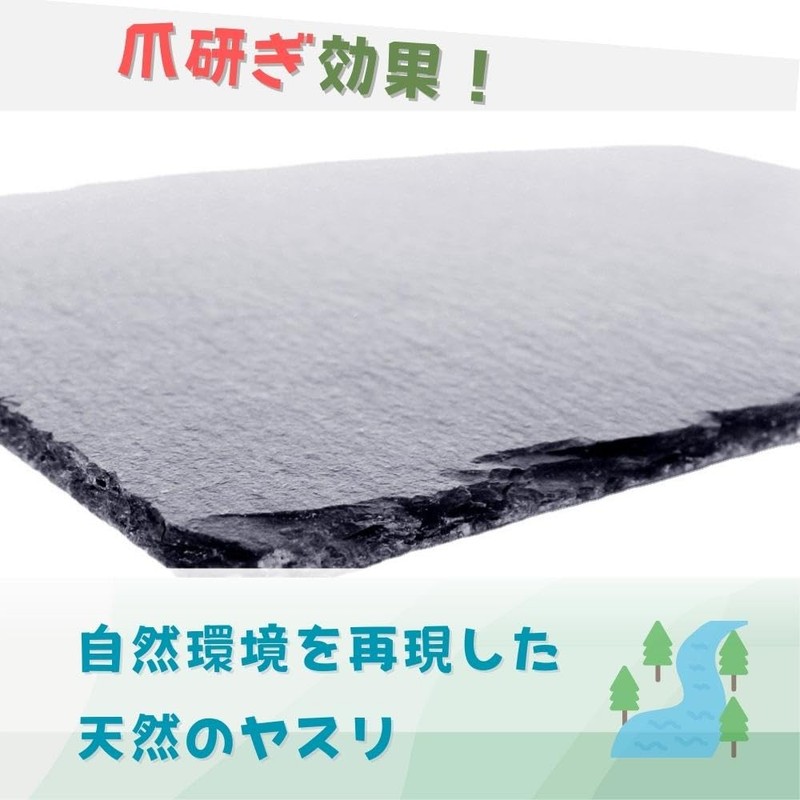 JP Number Turtle Drying Board, Food Plate, Turtle, Nail Sharpening