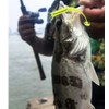 100 Pcs Fishing Soft Bait Swimbaits Lures Soft Plastic Fishing