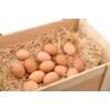 Doubleyou Geovlies & Baustoffe Natural Wood Wool for the Easter