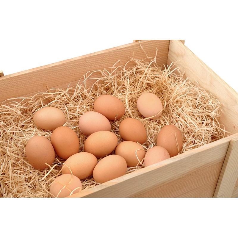 Doubleyou Geovlies & Baustoffe Natural Wood Wool for the Easter