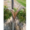 AumanArtWorks Pecan Wood for Competition BBQ Smoker Contest,Smokin