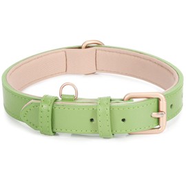 Leather Dog Collar Adjustable Soft Leather Padded Collar Heavy Duty for Small Medium Large Size Dogs with Alloy Buckle(Green,M)