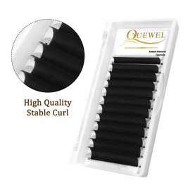 Easy Fan Volume Lashes 0.07 D Curl Black Volume Lash Extensions 9-16mm Mixed Lash Tray Color Lashes Extension Self Fanning 2D-10D Eyelash Extensions by QUEWEL (Black 0.07 D 9-16mm)