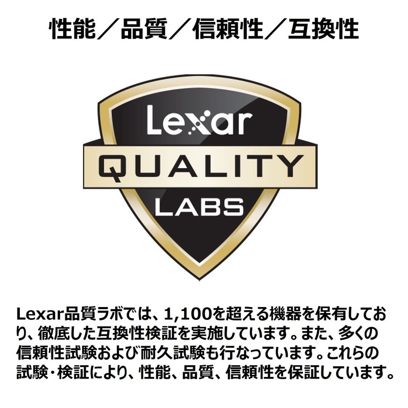 Lexar LSD256CB1667 SDXC Card, 256 GB, Silver Series, Class 10