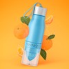Water Bottle Fruit Infuser, BPA Free, Infusion Section, Fruit Squeezer