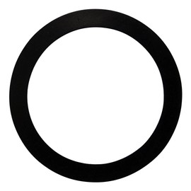 Pentair 154538 2-Inch Bulkhead Gasket Replacement Triton II Pool and Spa Sand Filter