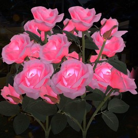 Solar Rose Lights Outdoor, 2 Pack Waterproof Color Changing LED Flower Lights, Solar Powered Garden Stakes for Yard, Patio, Pathway Decor - Artificial Floral Decorative Lighting (Pink)