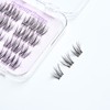 Char Cosmetics Dreamy Dozen Lash 24pcs