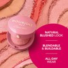 Blush - # 03 Brun Cuivre by Bourjois for Women