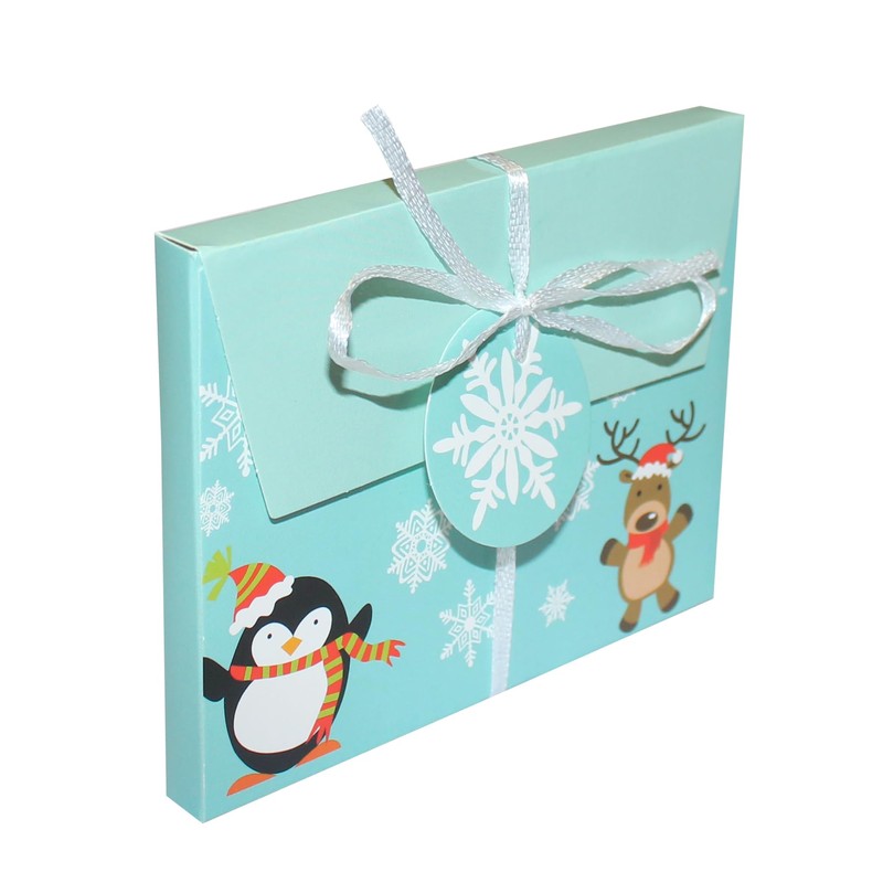 Christmas Money Wallet/Voucher Gift Box with Envelope - Pack of