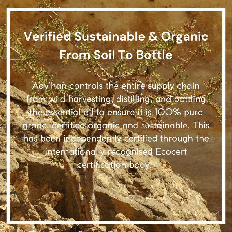 AAY’HAN | 100% Pure Frankincense (Sacra) Essential Oil from Oman