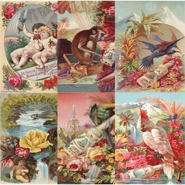 Florida Water Rice Paper, 8 x 10.5 Inch - for Decoupage Furniture Crafts