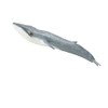 Collecta - Minke Whale (88862)