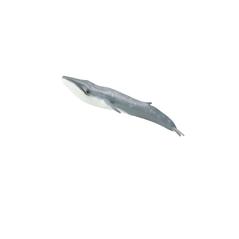 Collecta - Minke Whale (88862)
