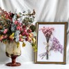 WGXX 12 Pack Dried Flowers for Vase Various Mini Bouquet