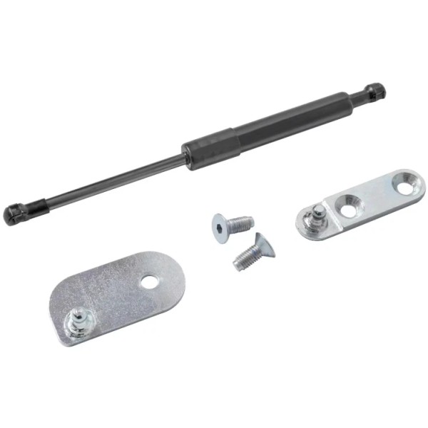 Ford OEM NEW 19-23 Ford RANGER Tailgate Assist Shock Kit