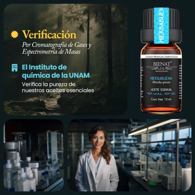 Bienat Aromaterapia Aceite Esencial De Hierbabuena 100% Natural 100% Puro