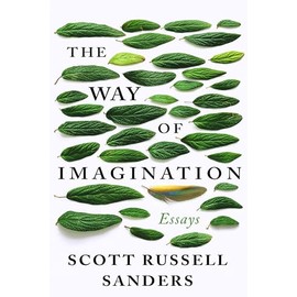 The Way of Imagination: Essays