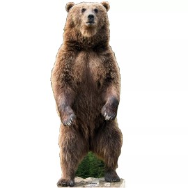 Wet Paint SC2563 Grizzly Bear Cardboard Cutout Standee Standup