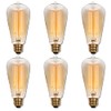 Westinghouse Lighting 0413220 60 Watt ST20 Amber Timeless Vintage Inspired